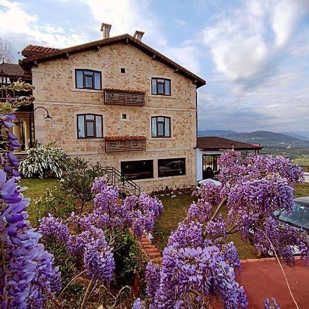 Hayat Oksijen Resort Ordu Exteriör bild