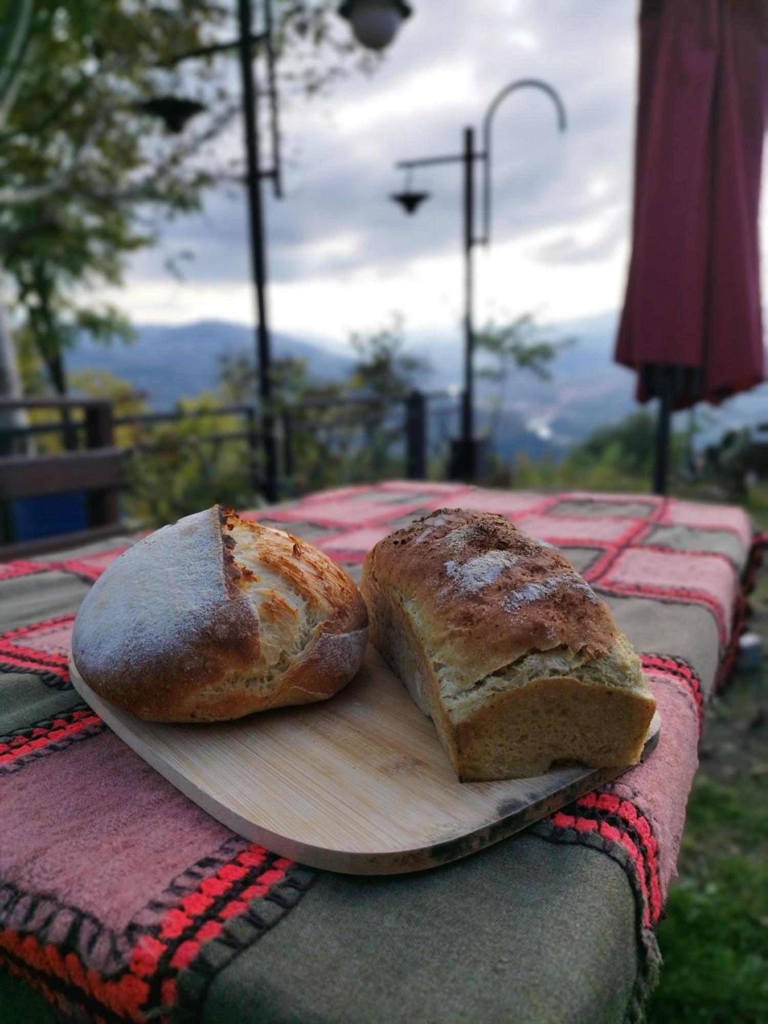 Hayat Oksijen Resort Ordu Exteriör bild